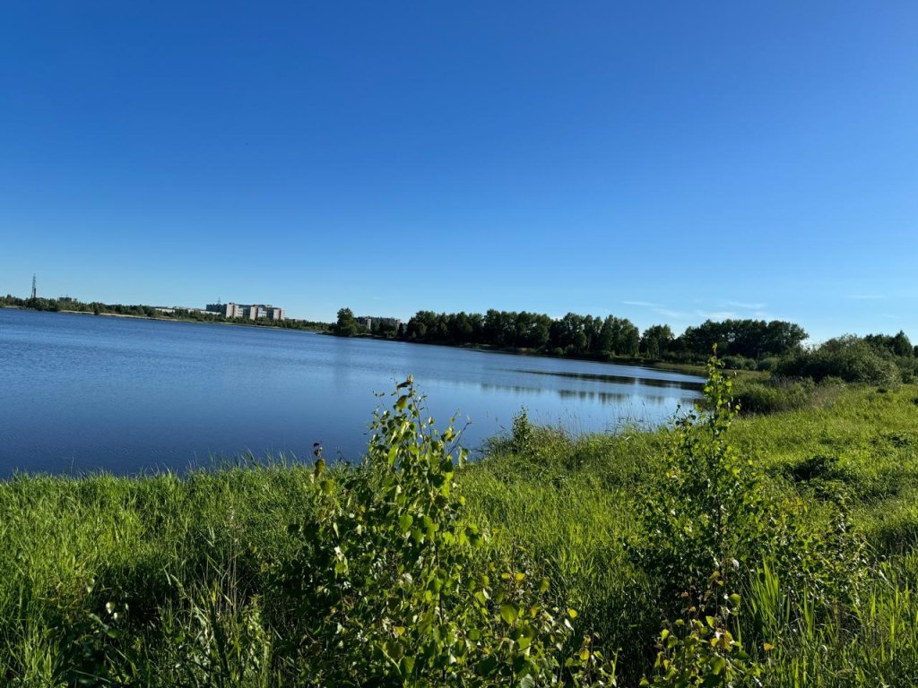 Отель На Южной 35, Архангельская область: фото 3