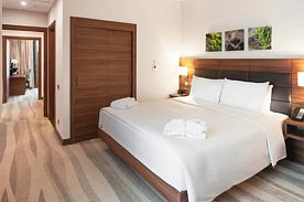 Четырёхместный люкс Двухкомнатный, Отель Москва Красносельская (ex. Hilton Garden Inn Красносельская), Москва