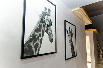 Отель Сафари