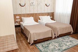 Двухместный номер Superior 2 отдельные кровати, Отель Аэроотель, Елизово