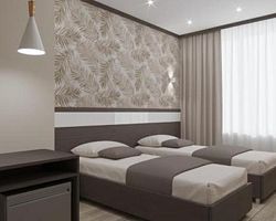 Двухместный номер Standard 2 отдельные кровати, Отель Holiday, Кузьмичи