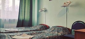 Двухместный номер Standard Стромиловский корпус (экономкласс) 2 отдельные кровати, Отель Александров, Александров