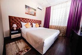 Двухместный номер Lilac Standard двуспальная кровать, Business lounge hotel (Бизнес Лаундж Отель), Москва