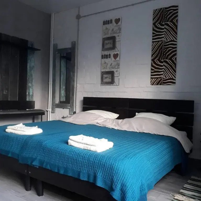 Отель Гостиница Платина, Горный Алтай (Республика Алтай): фото 2