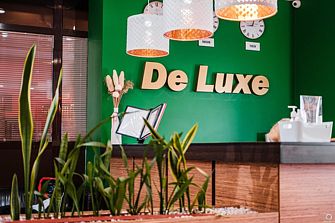 Отель Гостиница DeLuxe2