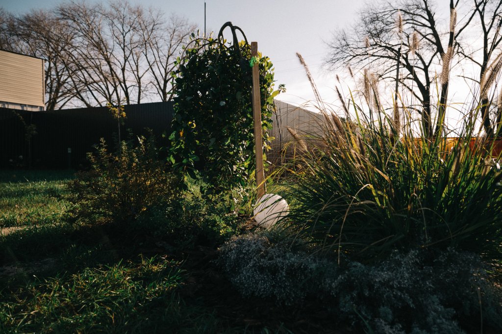 Отель Спектр, Курская область: фото 5