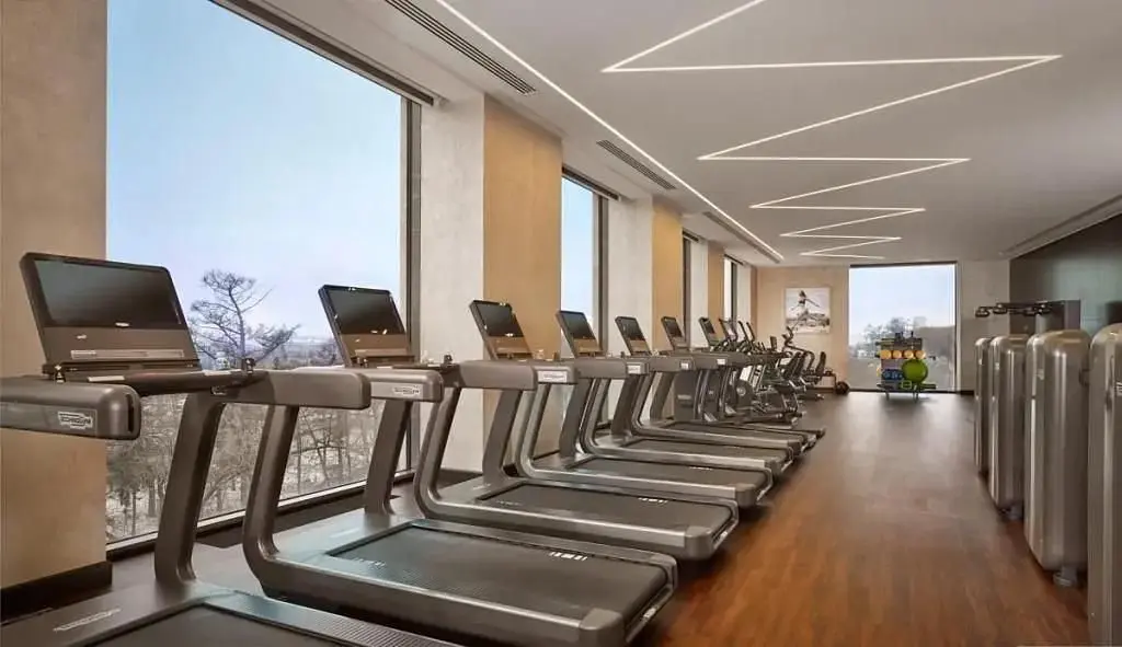 Отель Hyatt Regency Moscow Petrovsky Park, Московская область: фото 4