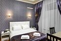 Двухместный номер Стандарт двуспальная кровать, Мини-отель City, Москва