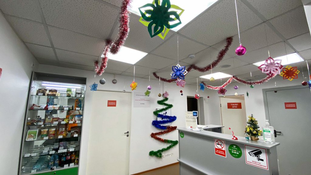 Отель Smart Hotel KDO Петрозаводск, Республика Карелия: фото 2