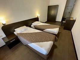Двухместный номер Standard 2 отдельные кровати, Отель Загородный Спас-Каменка, Деденево