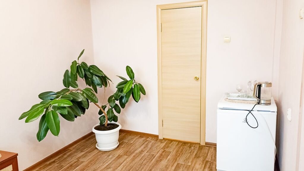 Отель Smart Hotel KDO Миасс, Челябинская область: фото 5