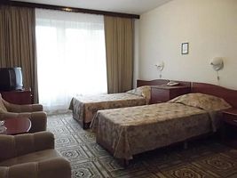Двухместный номер Economy двуспальная кровать, Отель Паллада РАН, Москва