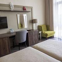 Двухместный номер Standard с красивым видом из окна 2 отдельные кровати, Отель в Центре Гимнастики Ирины Винер-Усмановой, Ширяйка