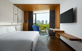 Номер Superior для людей с ограниченными возможностями, Отель Radisson Blu Ленинский проспект, Москва, Москва