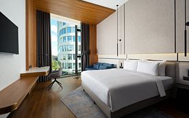 Двухместный номер Executive двуспальная кровать, Отель Radisson Blu Ленинский проспект, Москва, Москва