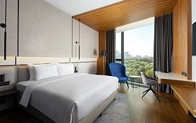 Двухместный номер Executive с видом на парк двуспальная кровать, Отель Radisson Blu Ленинский проспект, Москва, Москва