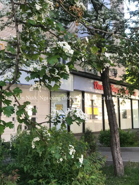 Отель Варшавка Инн, Москва, Московская область