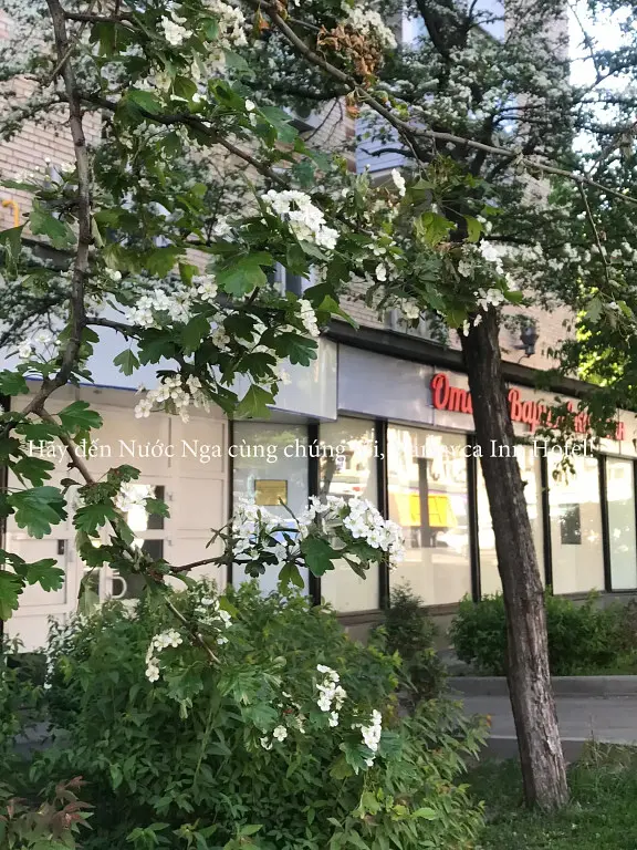 Отель Варшавка Инн, Москва, Московская область