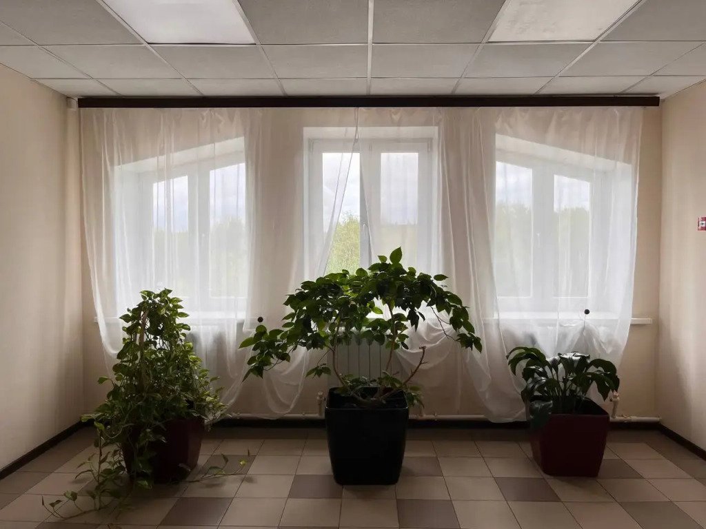 Мини-гостиница Акварель, Московская область: фото 2