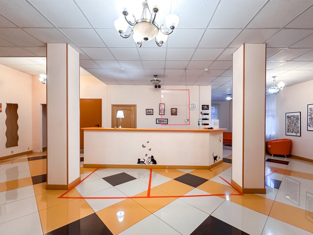 Отель Дом Учёных Железнодорожный, Московская область: фото 5