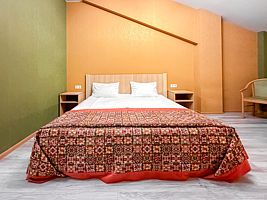 Двухместный номер Comfort двуспальная кровать, Отель Дом Учёных Железнодорожный, Полушкино