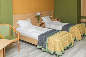 Двухместный номер Comfort 2 отдельные кровати, Отель Дом Учёных Железнодорожный, Полушкино