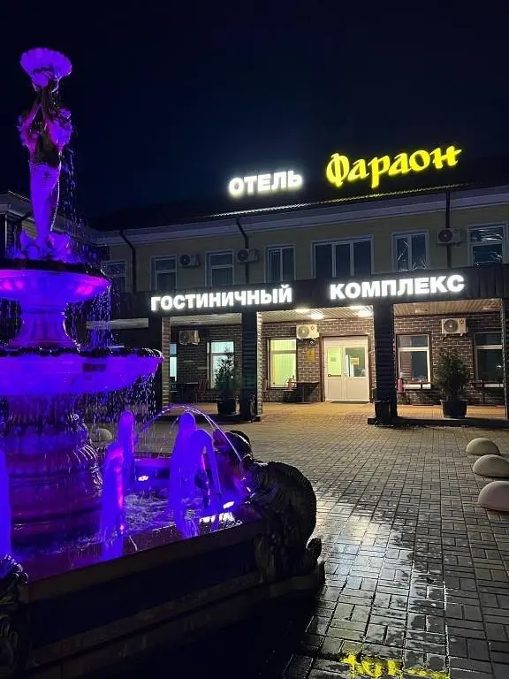 Отель Фараон, Воронежская область: фото 2