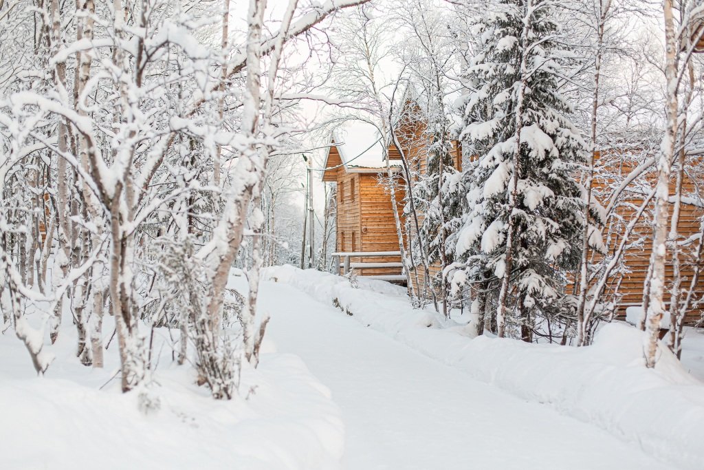 Отель Арктик Хоум, Мурманская область: фото 2