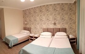 Двухместный номер Comfort двуспальная кровать, Отель Аттайибээт, Арск