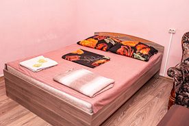 Двухместный номер Standard двуспальная кровать, Отель Барашки, деревня Покров