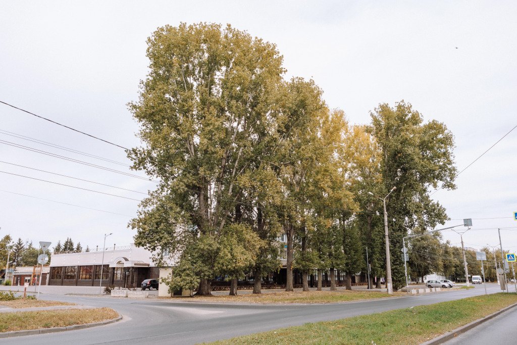 Отель Зодиак, Тольятти, Самарская область