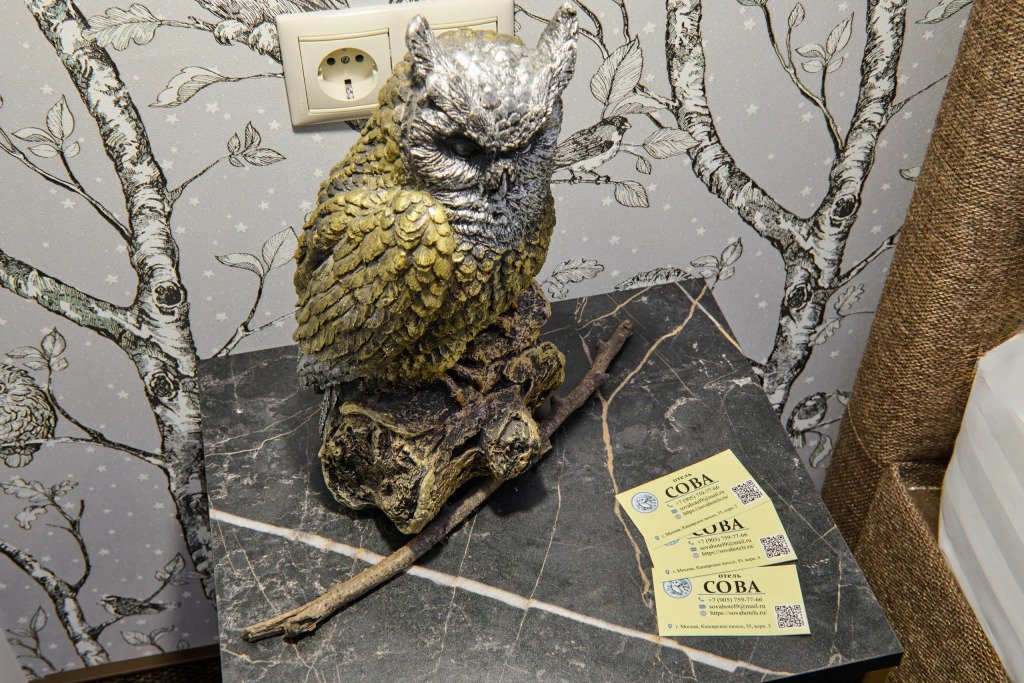 Отель Сова на Каширской, Москва, Московская область