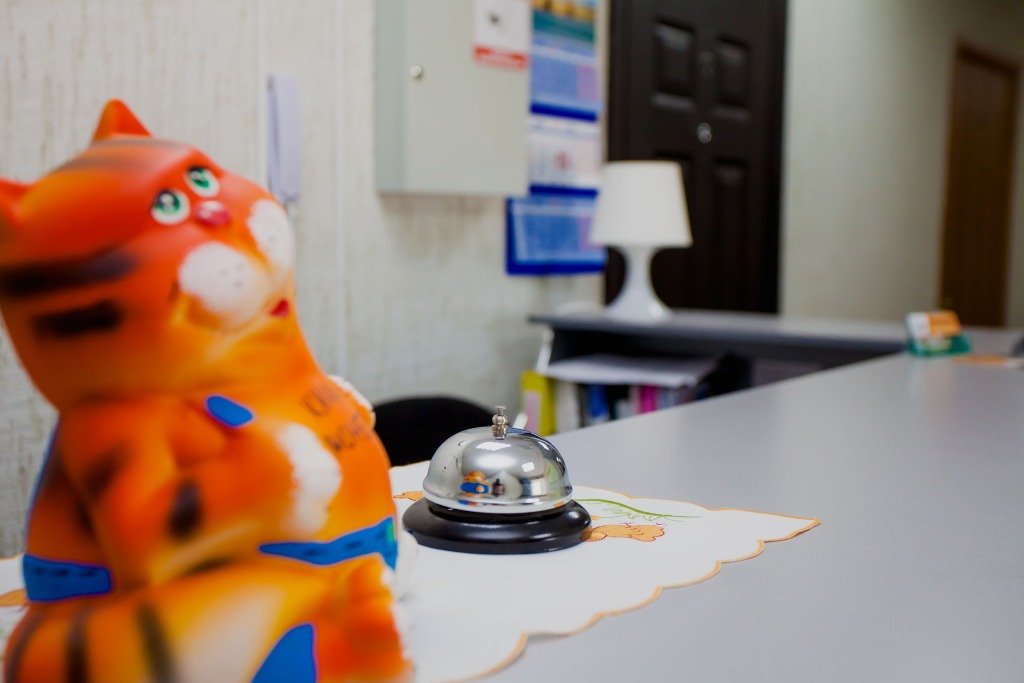 Отель Хуторок, Ленинградская область: фото 4