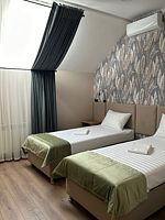 Двухместный номер Standard 2 отдельные кровати, Отель Петровский II, Павловск