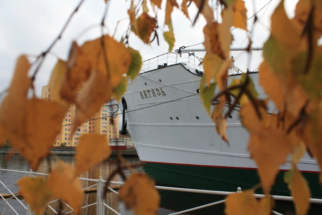 Отель Гостевые каюты НИС Витязь, Калининградская область: фото 3