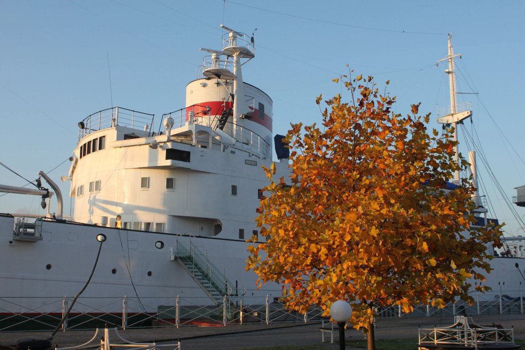 Отель Гостевые каюты НИС Витязь, Калининградская область: фото 5