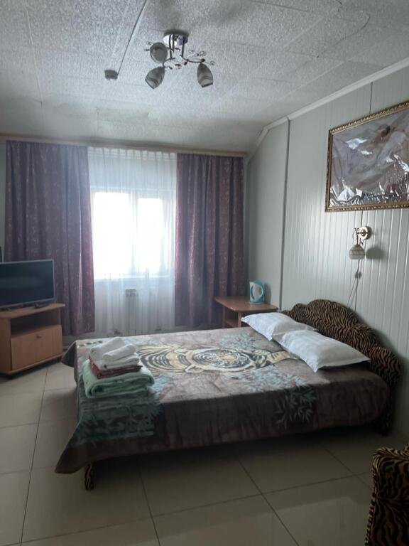 Гостиница ЗВЕЗДНАЯ (с. Подгорное), Хабаровский край: фото 5