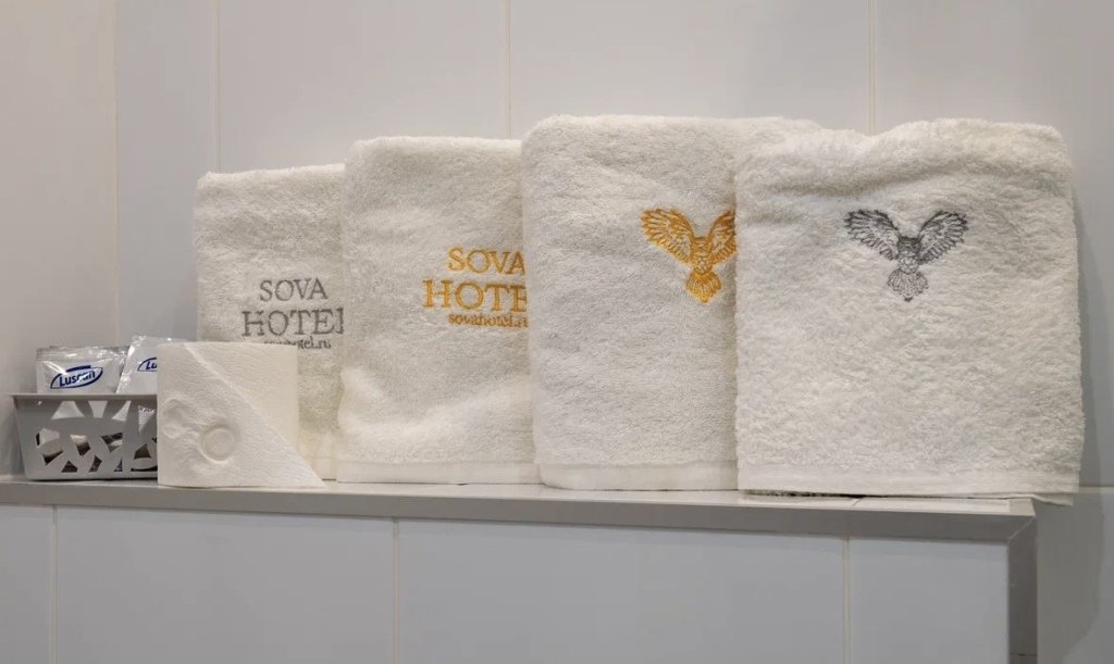 Сова на Преображенской, Московская область: фото 4