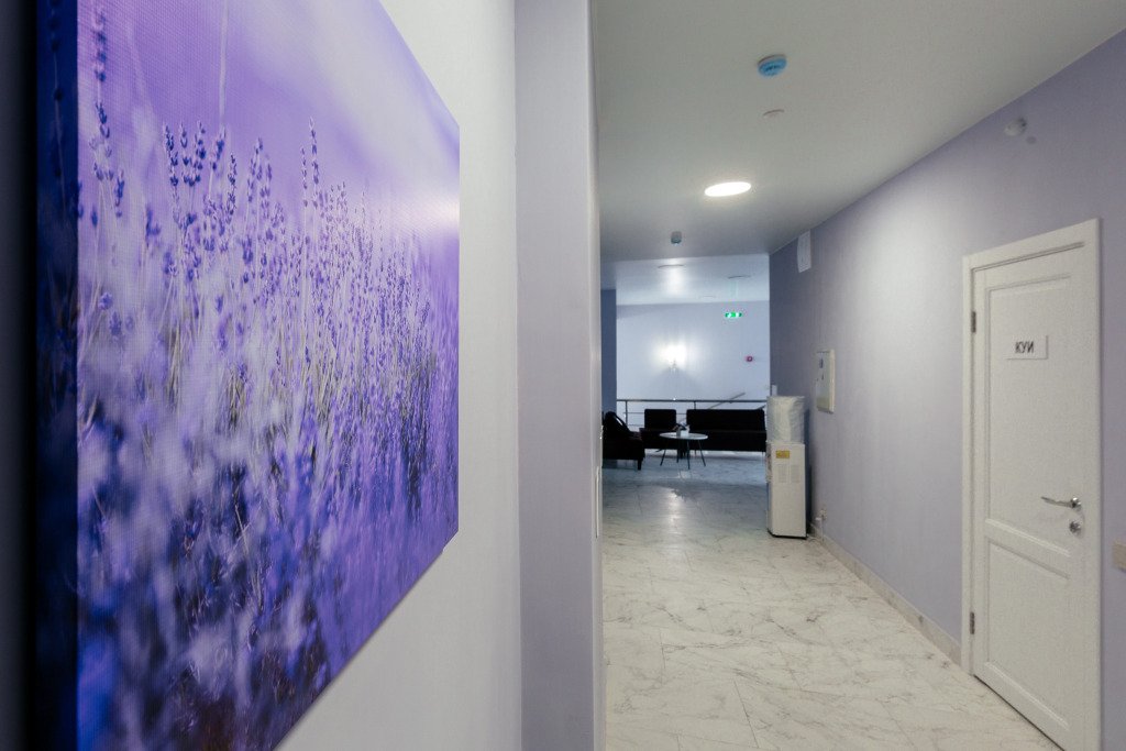 Отель Созвездие, Ярославская область: фото 2