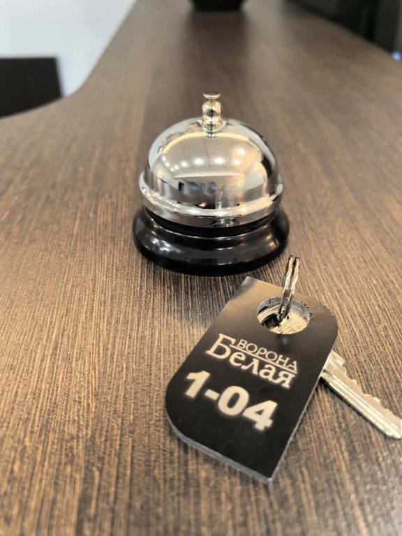 Отель Белая Ворона, Красноярский край: фото 4