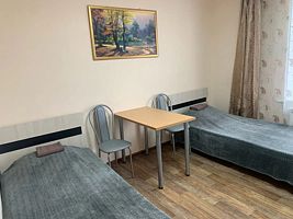 Двухместный номер Economy с красивым видом из окна 2 отдельные кровати, Отель Сплав, Курьи
