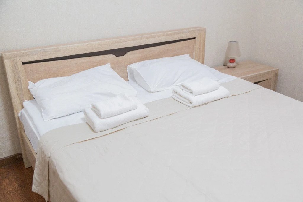 Отель Виктория, Республика Северная Осетия (Алания): фото 3