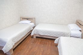 Трёхместный номер Standard, Отель Виктория, село Верхний Цей