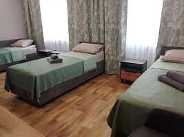 Трёхместный номер Economy с видом на парк, Отель Гостиница Веселый Яр, Рубцовский