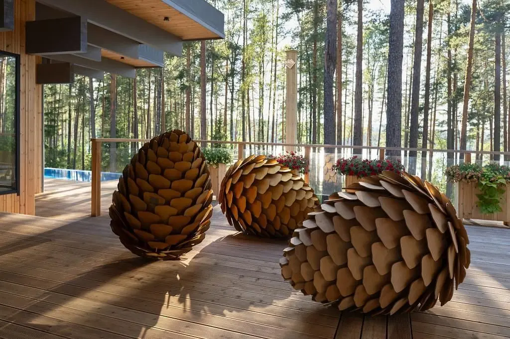 Отель Курорт Большое Борково, Ленинградская область: фото 2