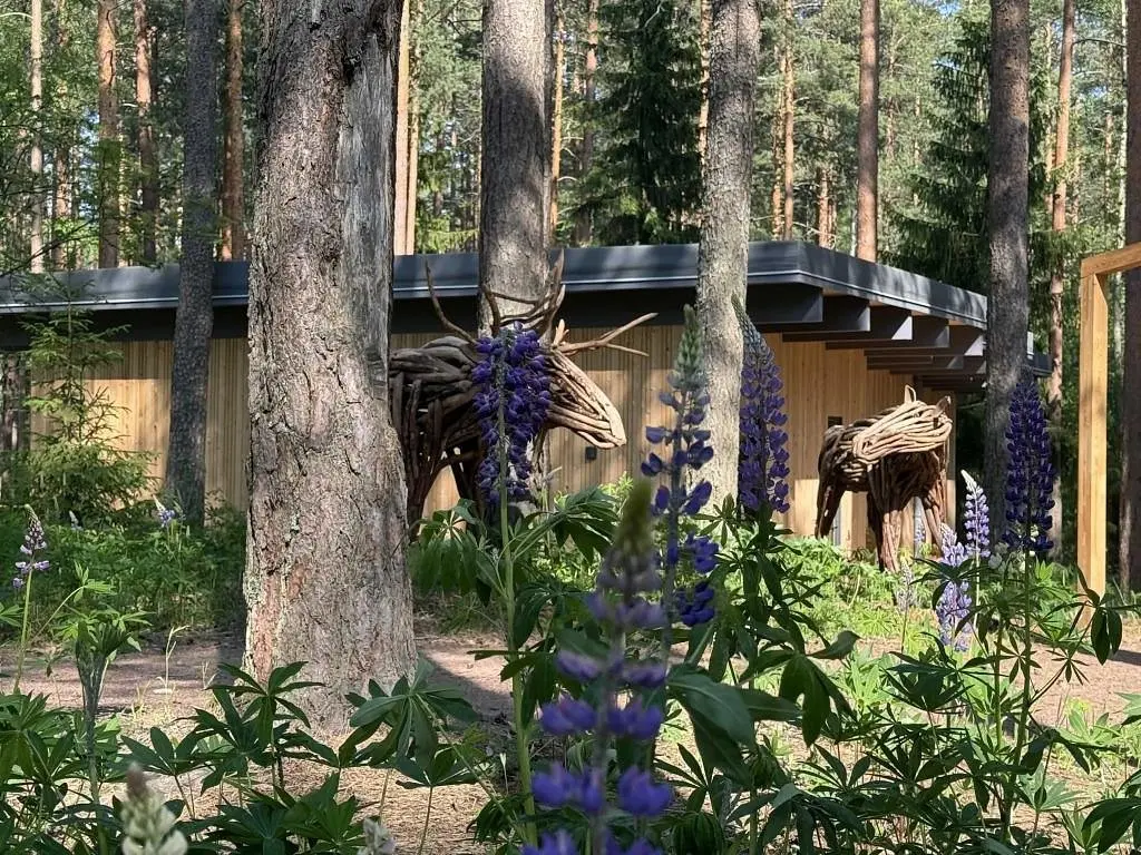 Отель Курорт Большое Борково, Ленинградская область: фото 4