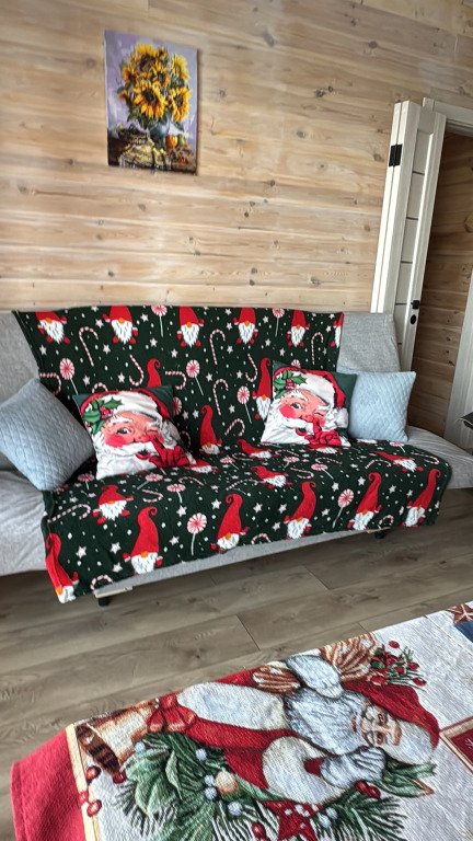 Частный дом Ковчег, Алтайский край: фото 3