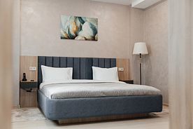 Двухместный люкс Улучшенный двуспальная кровать, Отель Загородный Spa-Провинция, Рамонский район