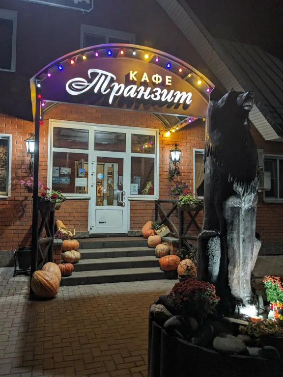 Отель Транзит, Тамбовская область: фото 2