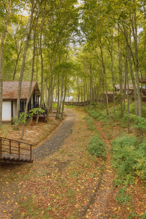 Отель Парк-отель Истра, Московская область: фото 5